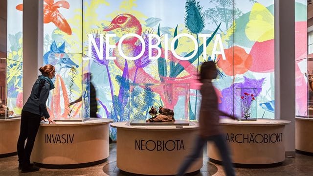 Ausstellung "Neobiota"