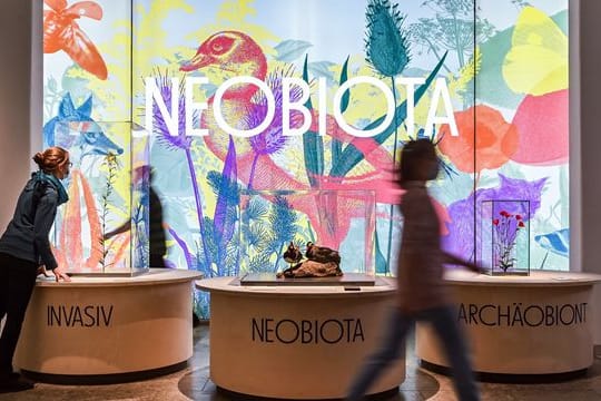 Ausstellung "Neobiota"