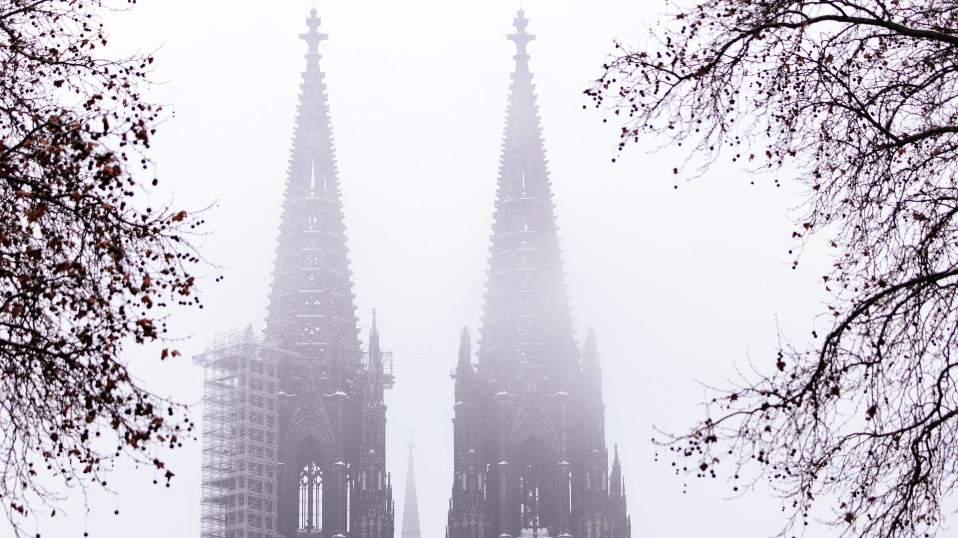 Kölner Dom im Nebel (Archivbild): Ab 23. November steht der Priester vor Gericht. Kölner Dom im Nebel (Archivbild): Ab 23. November steht der Priester vor Gericht.