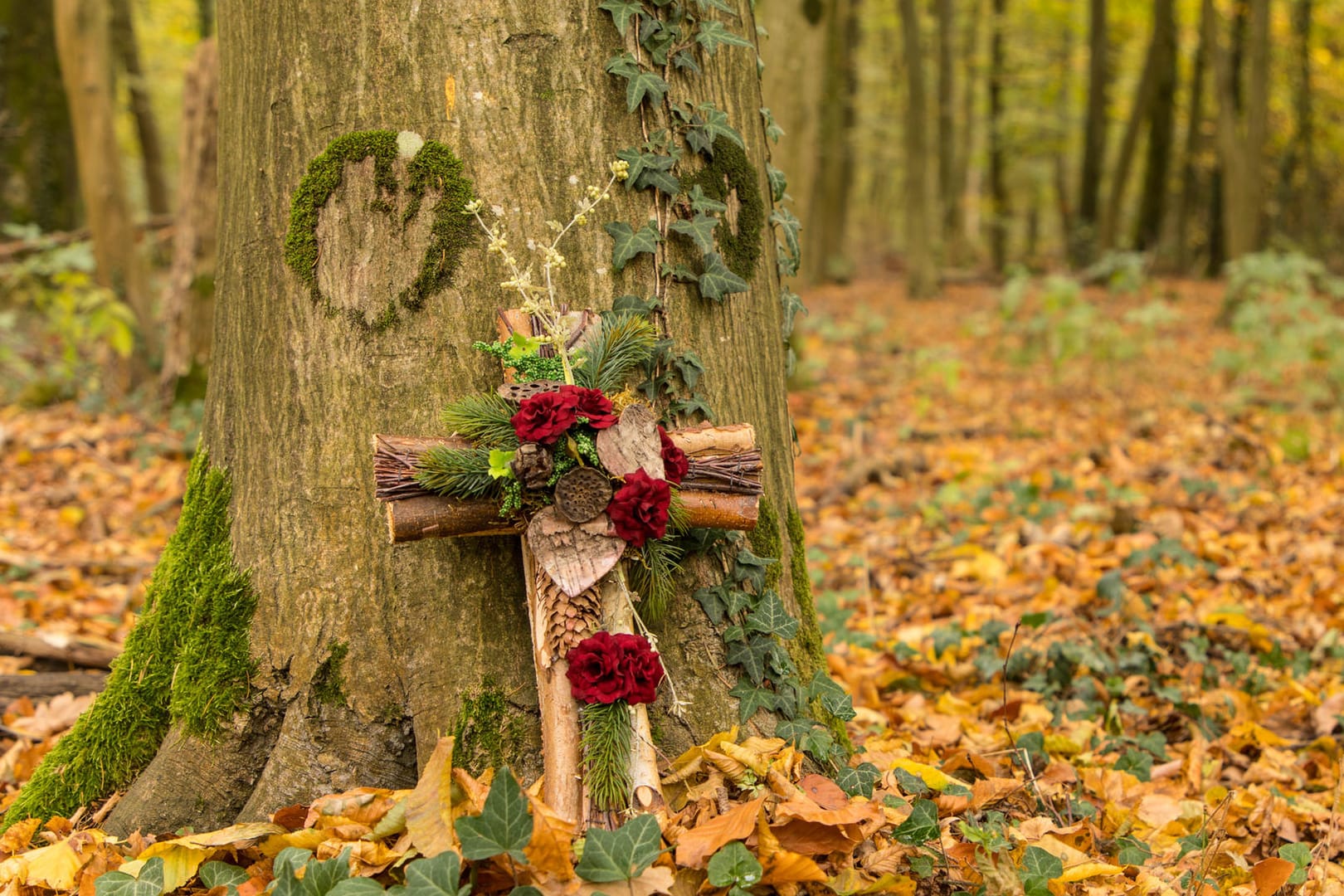 Waldbestattung: Viele Menschen entscheiden sich zu Lebzeiten für eine letzte Ruhestätte im Wald.