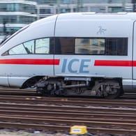 Ein ICE fährt in den Hauptbahnhof in Frankfurt am Main ein (Symbolbild): Bei einem Zug in Offenburg kam es zu einem Feuer an einer Bremse.