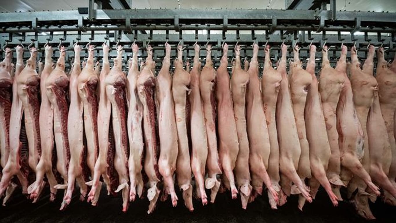 Schweine hängen im Schlachthof