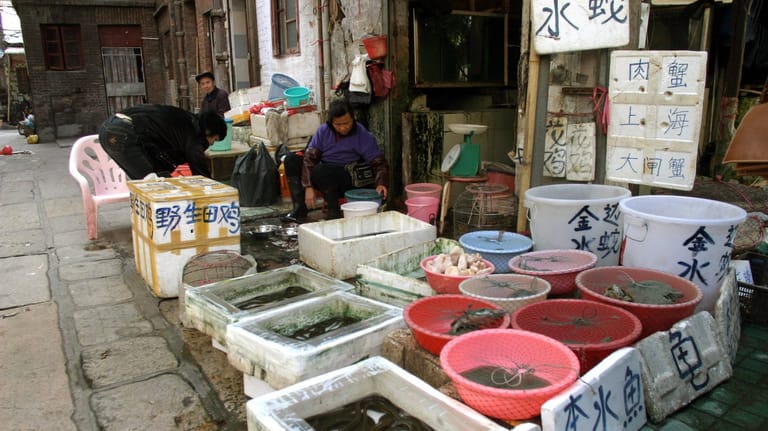 Tiermarkt in China (Symboldbild): Ist das Rätsel um den Corona-Ausbruch nun gelöst?