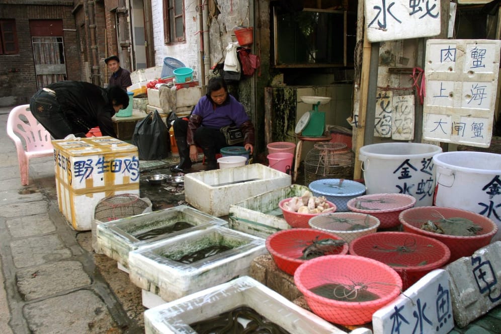 Tiermarkt in China (Symboldbild): Ist das Rätsel um den Corona-Ausbruch nun gelöst?