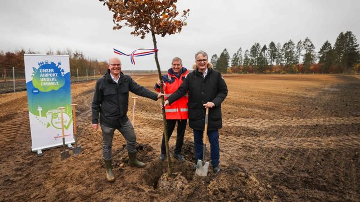 Tobias Goldschmidt (l-r), Michael Eggenschwiler und Andreas Rieckhof pflanzen eine Traubeneiche beim symbolischen Spatenstich. 500.000 Euro will der Flughafen in den Forst investieren.