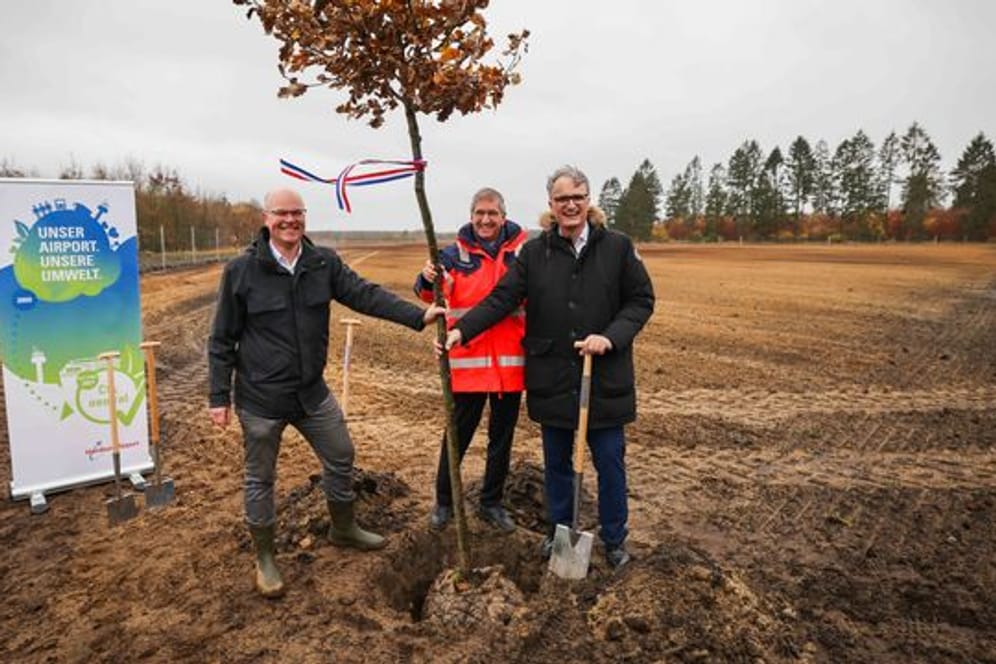 Tobias Goldschmidt (l-r), Michael Eggenschwiler und Andreas Rieckhof pflanzen eine Traubeneiche beim symbolischen Spatenstich. 500.000 Euro will der Flughafen in den Forst investieren.