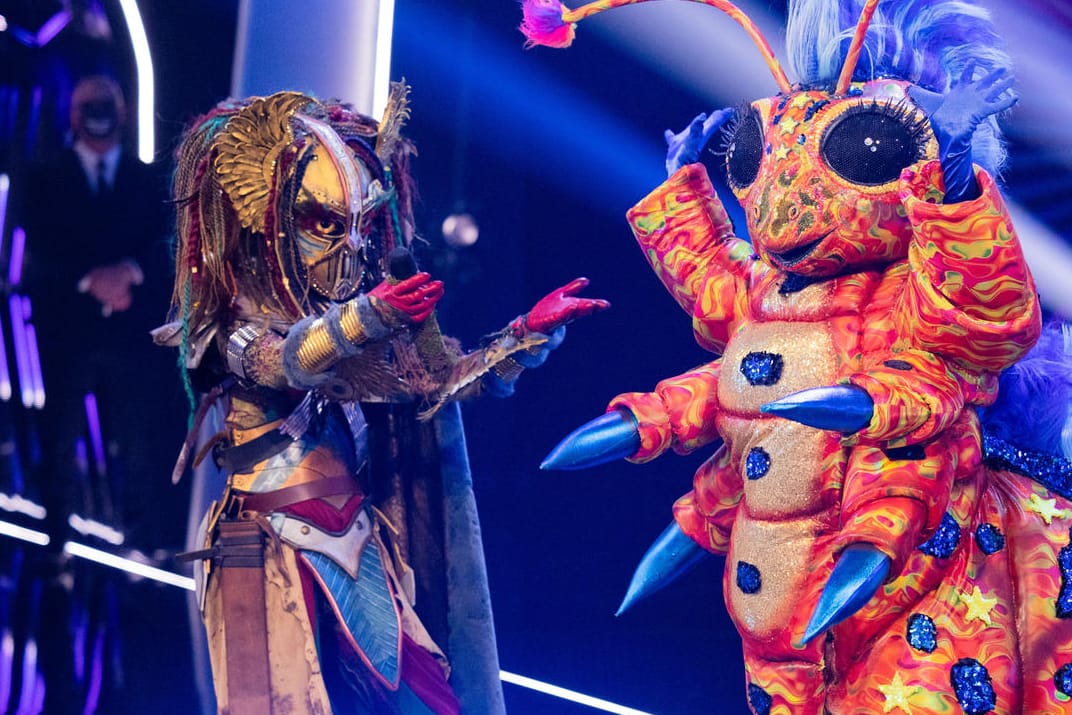 Die Heldin und Raupe Resi: Diese beiden Figuren standen im "The Masked Singer"-Finale.