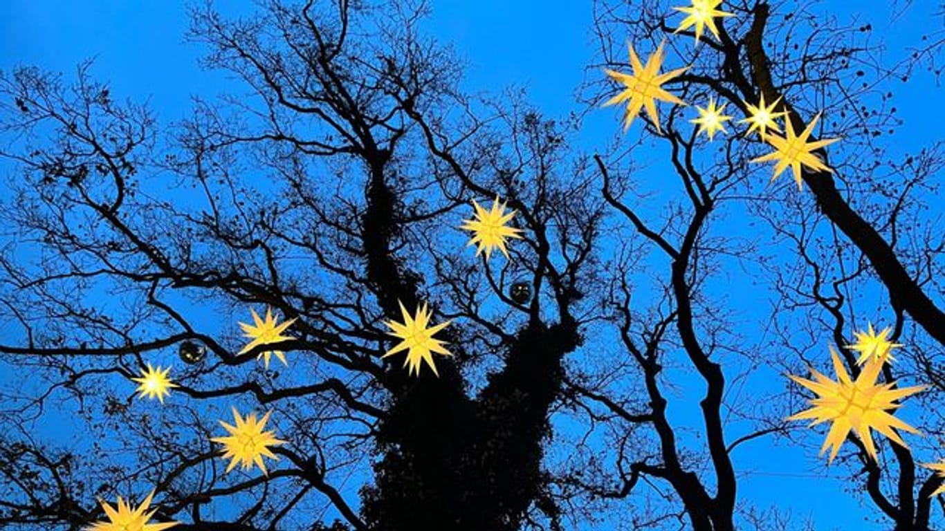 Leuchtende Sterne hängen bei einem Weihnachtsmarkt an Bäumen