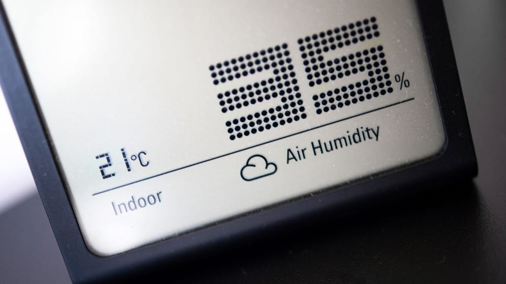 Die Luft ist ein bisschen zu trocken? Optimalerweise beträgt die Luftfeuchtigkeit im Raum 40 bis 60 Prozent, messbar mit einem Hygrometer.
