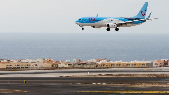 Tui