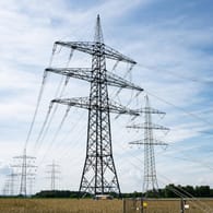 Strommasten in Niedersachsen (Symbolbild): Der Energiekonzern Eon will in den kommenden Jahren mehrere Milliarden in den Ausbau der Netze stecken.