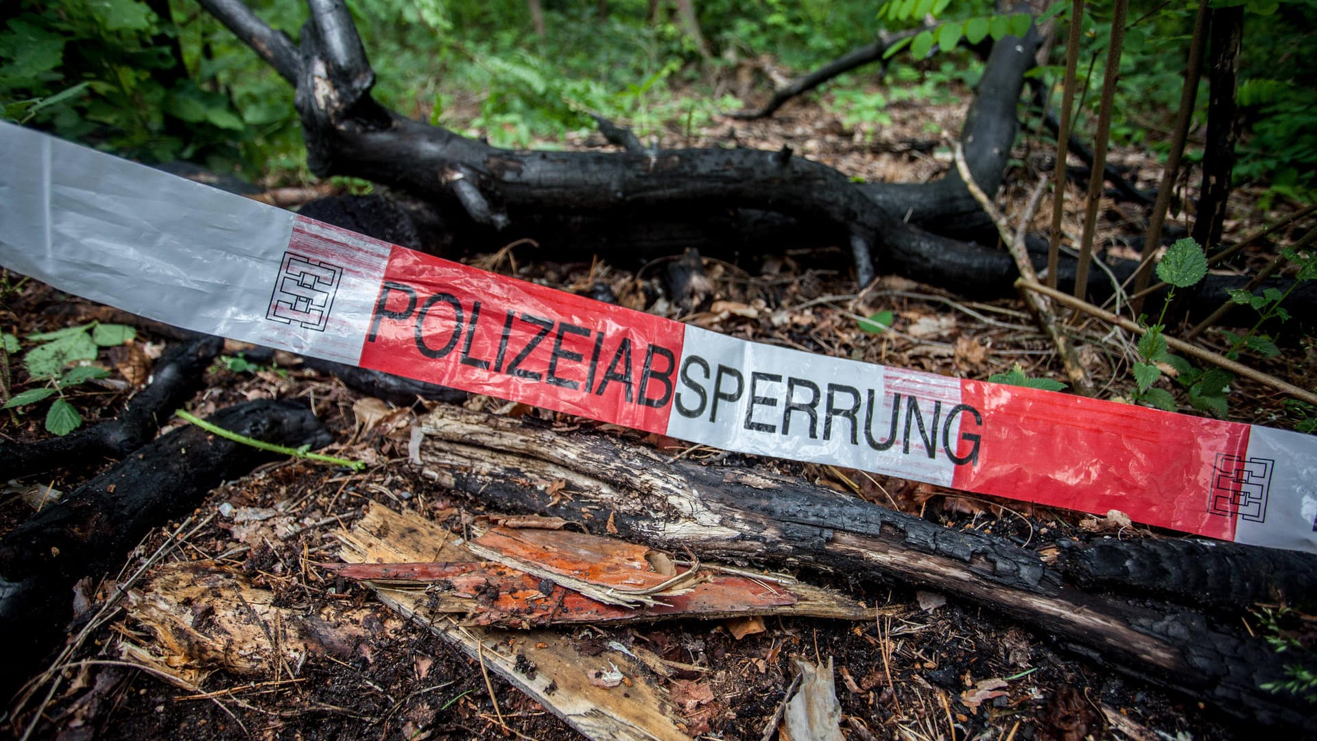 Polizeiabsperrung in einem Wald (Archivbild): Die Polizei hat einen Cold Case von 1989 wieder aufgenommen.