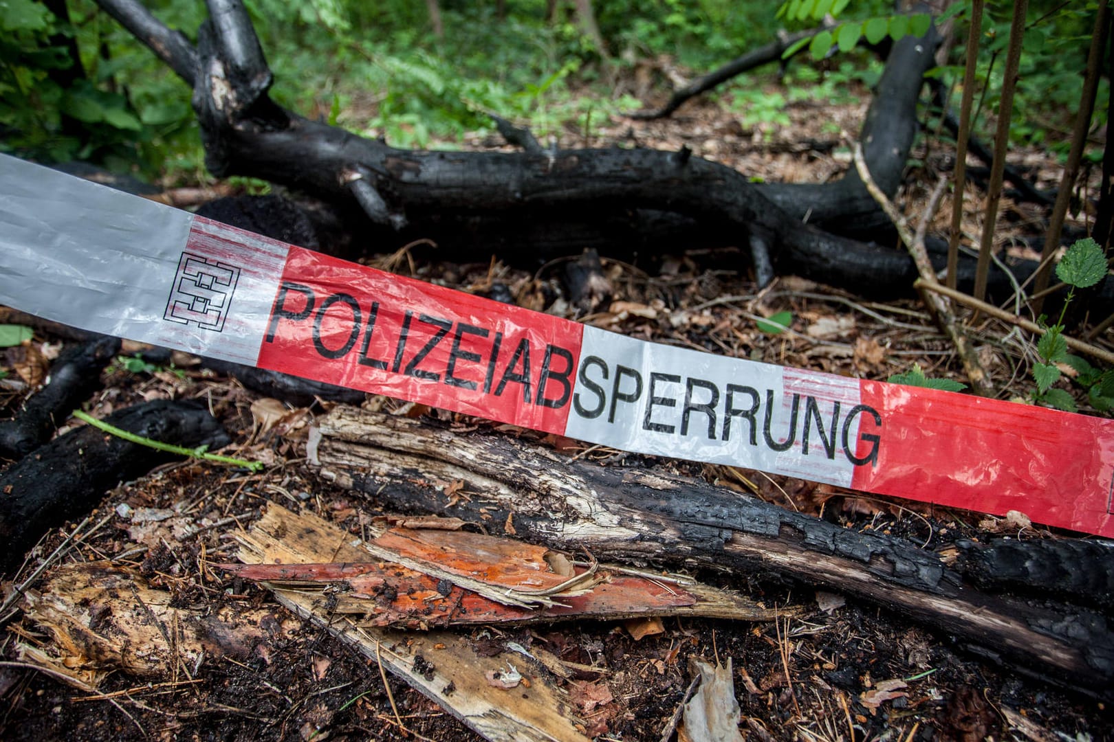 Polizeiabsperrung in einem Wald (Archivbild): Die Polizei hat einen Cold Case von 1989 wieder aufgenommen.