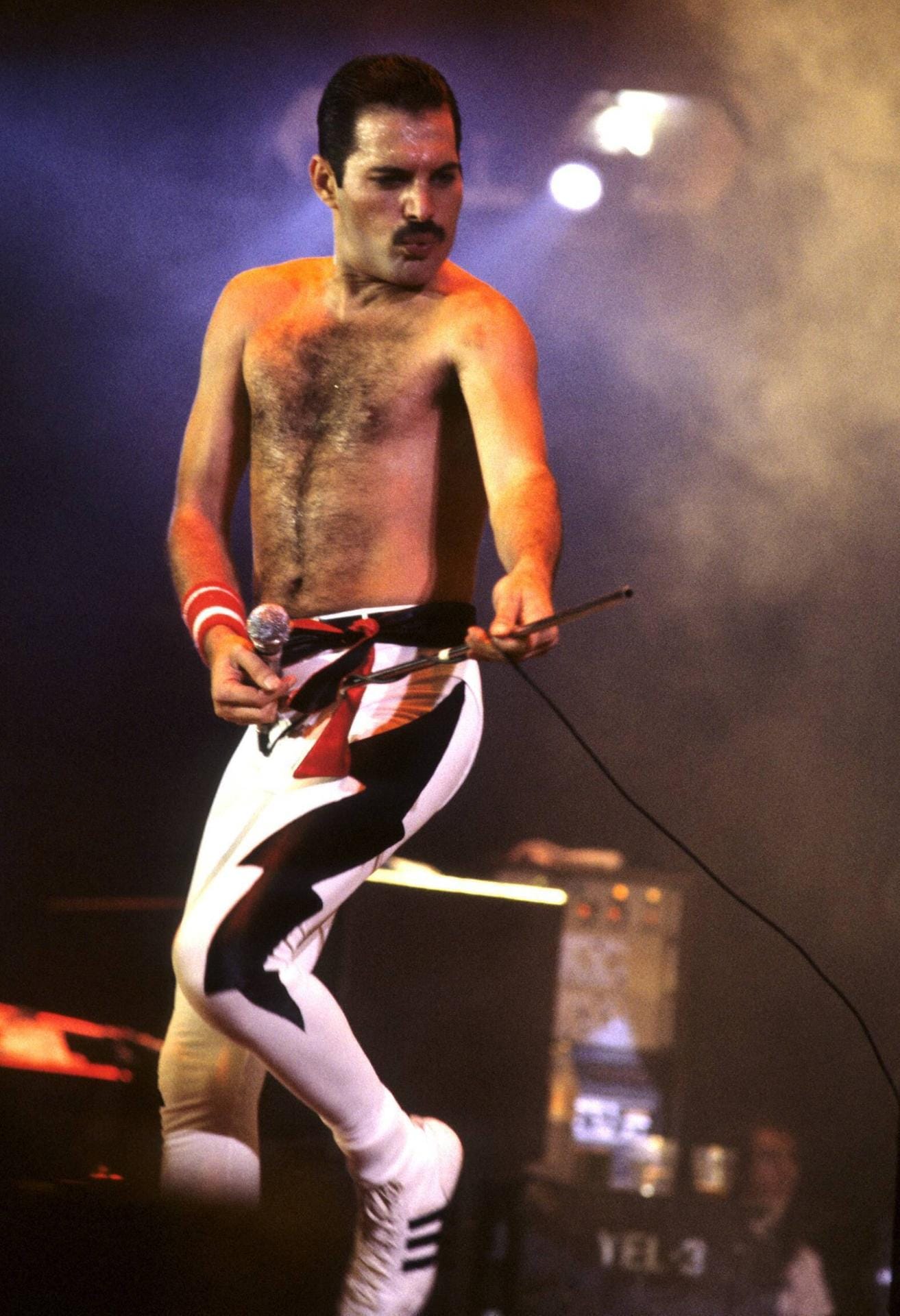 Doch auch 30 Jahre nach seinem Tod ist Freddie Mercury noch immer präsent und für immer unvergessen.