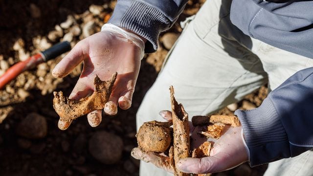 Großer Leprafriedhof ausgegraben Großer Leprafriedhof ausgegraben