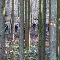 Polizisten durchsuchen den Wald bei Kipfenberg (Archivbild): Ein Waldarbeiter war 2020 hier auf einen Knochen von Sonja Engelbrecht gestoßen.
