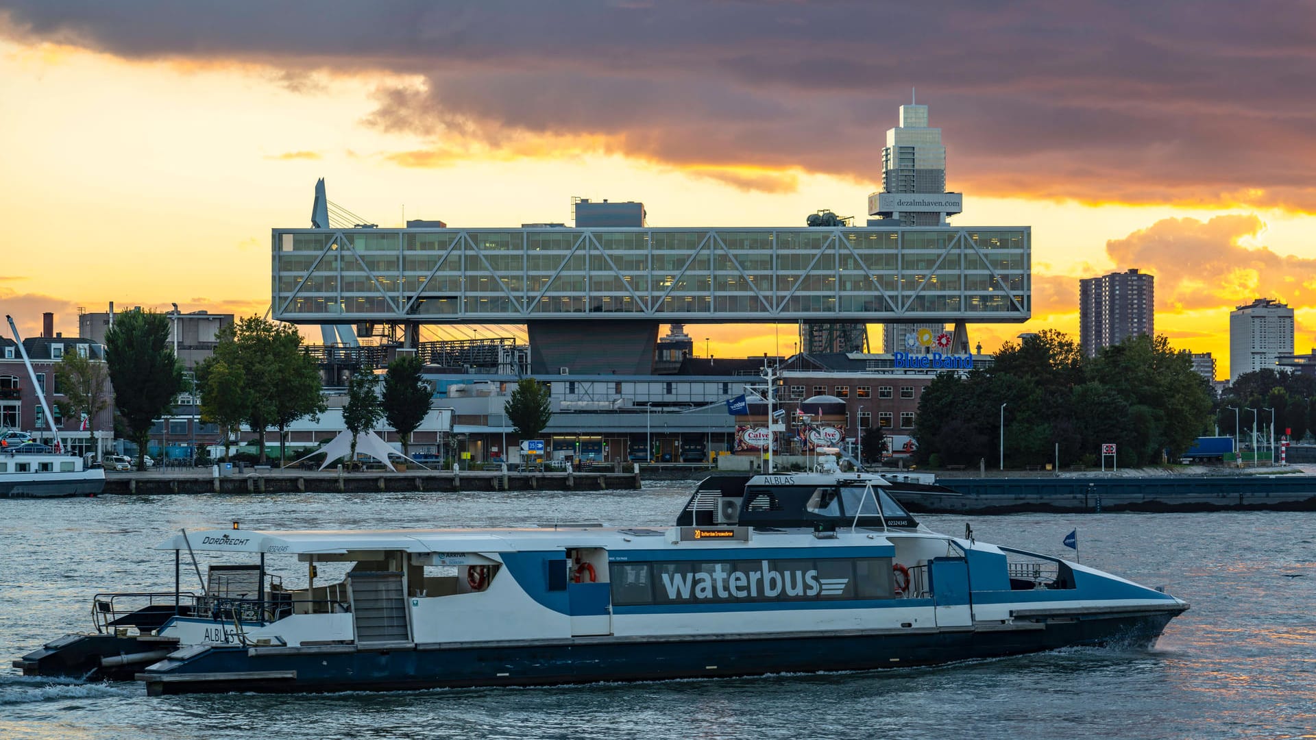 Wasserbus in Rotterdam (Archivbild): Die Stadt Köln will ein leistungsstarkes Wasserbussystem nach niederländischem Vorbild einführen. Wasserbus in Rotterdam (Archivbild): Die Stadt Köln will ein leistungsstarkes Wasserbussystem nach niederländischem Vorbild einführen.