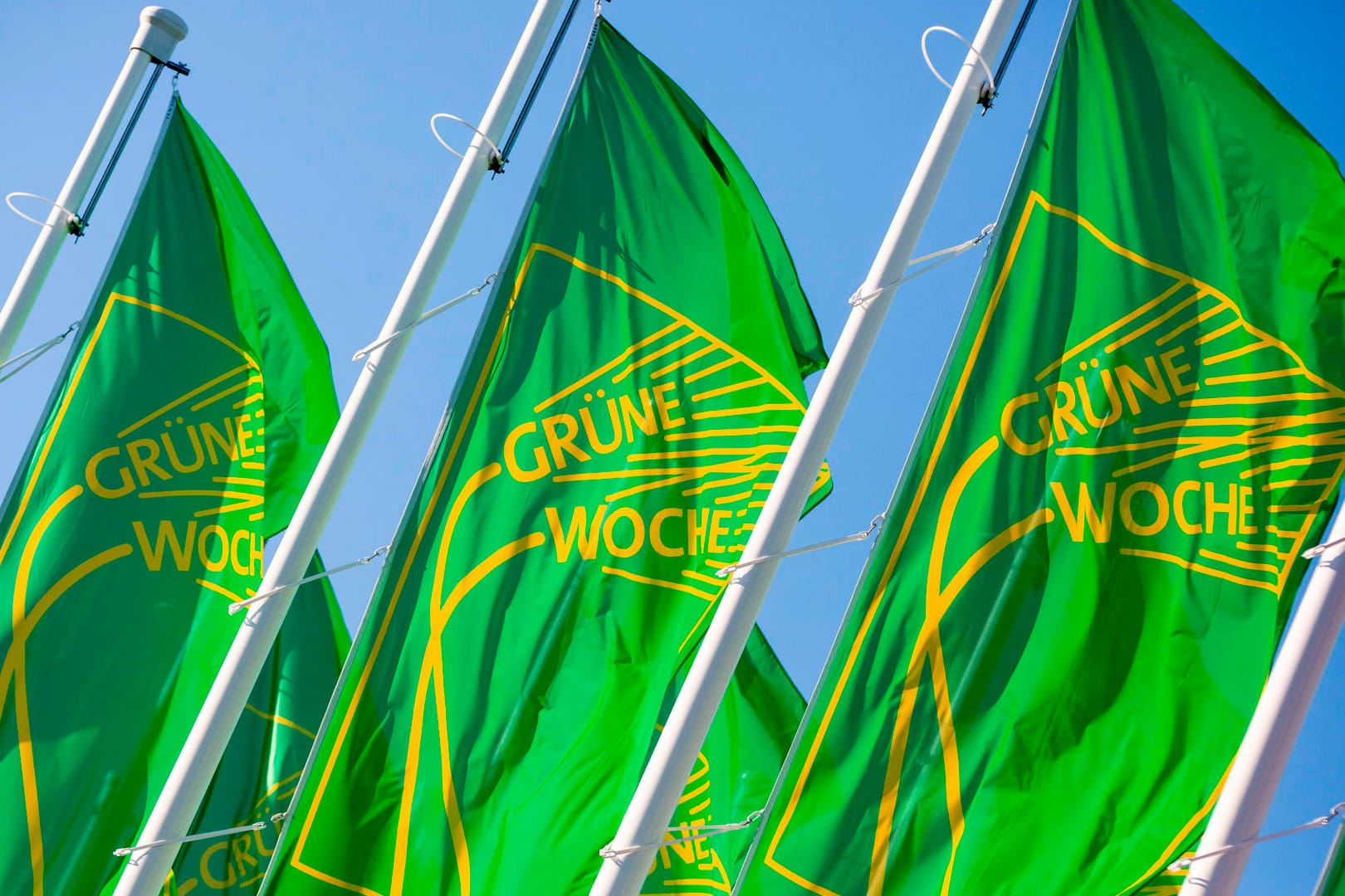 Grüne Woche: Die Grüne Woche in Berlin im Januar 2022 fällt wegen der stark steigenden Corona-Zahlen aus.