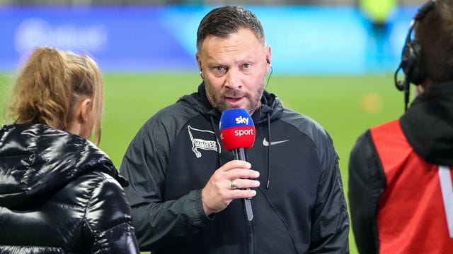 Pal Dardai spricht