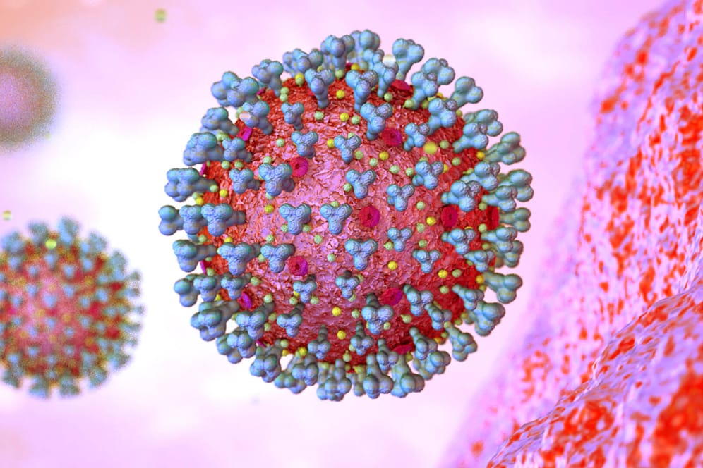 Grafische Darstellung des Coronavirus (Symbolfoto): Die neue SARS-CoV-2-Variante B.1.1.529 – auch bezeichnet als Omikron – ist als weltweit besorgniserregend eingestuft worden.