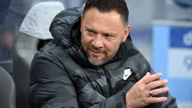 Pal Dardai Pal Dardai