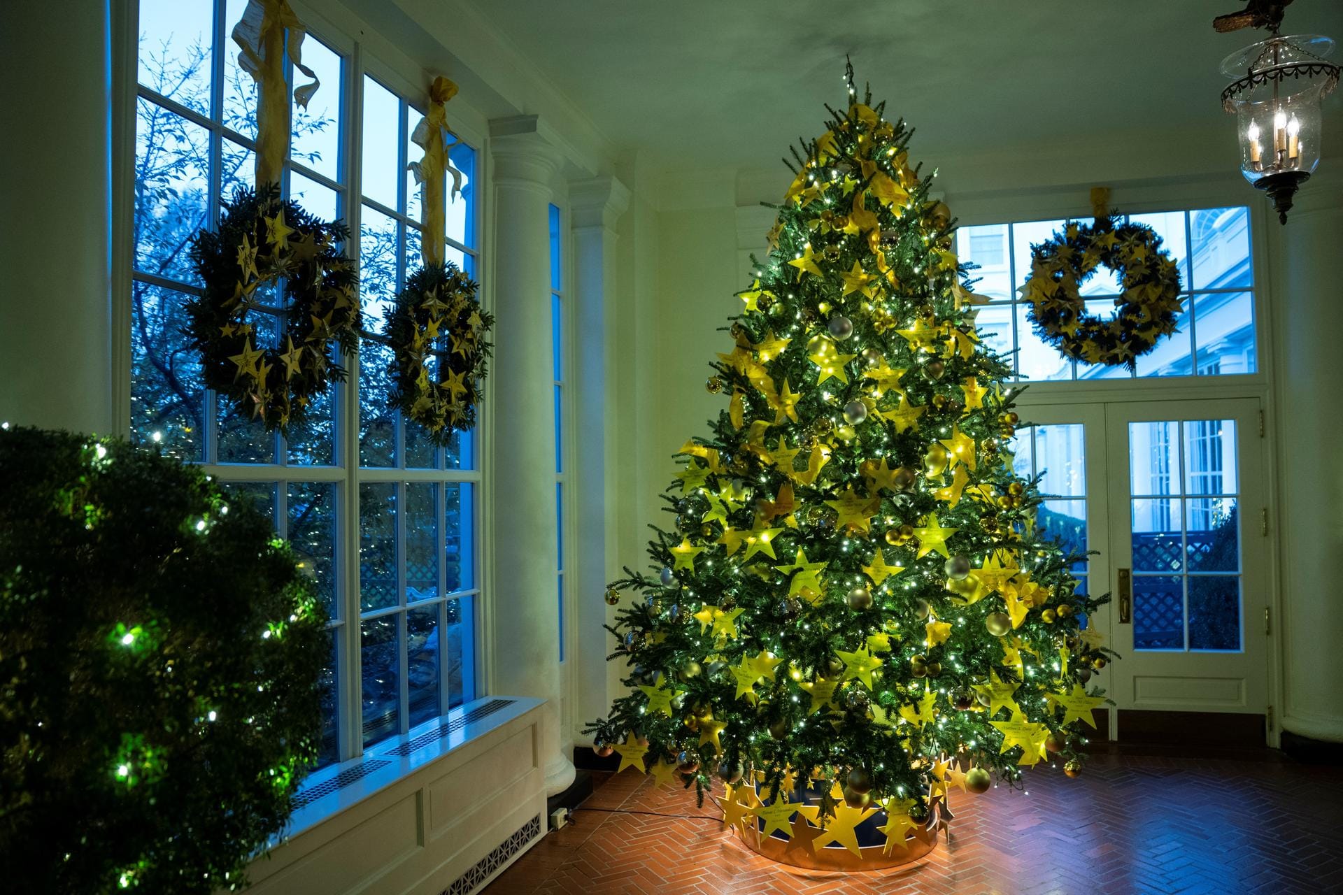 Der Gold Star Tree steht im Ostflügel des Weißen Hauses.