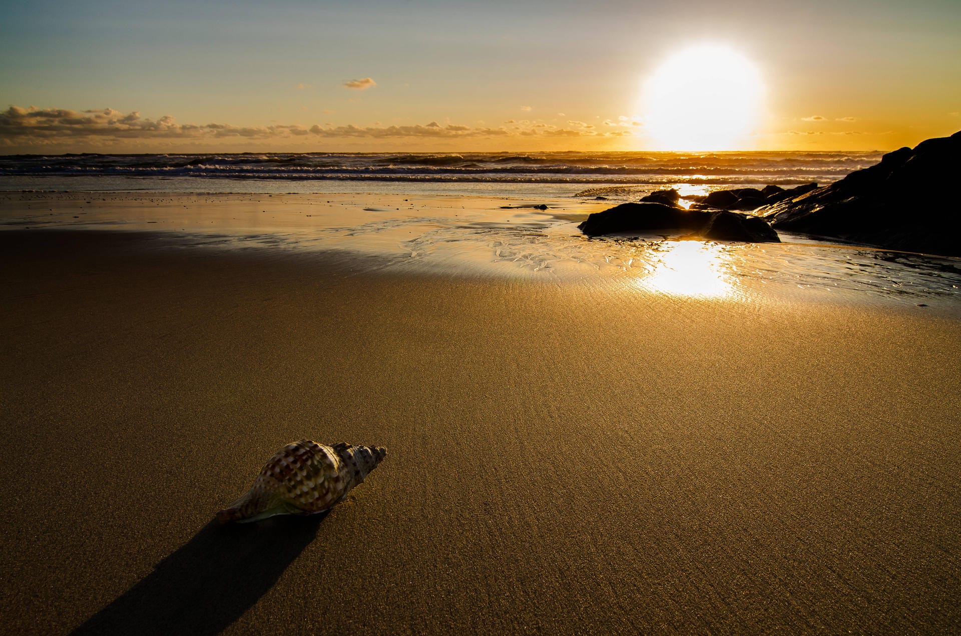 Panorama of sunset on the beach. Copyright: xx 5773924