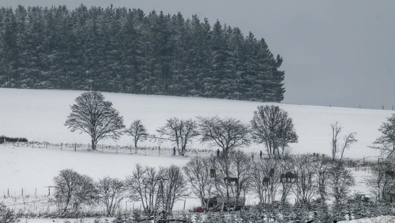 Winterberg in Nordrhein-Westfalen: In einigen Teilen Deutschlands ist der Winter angekommen.