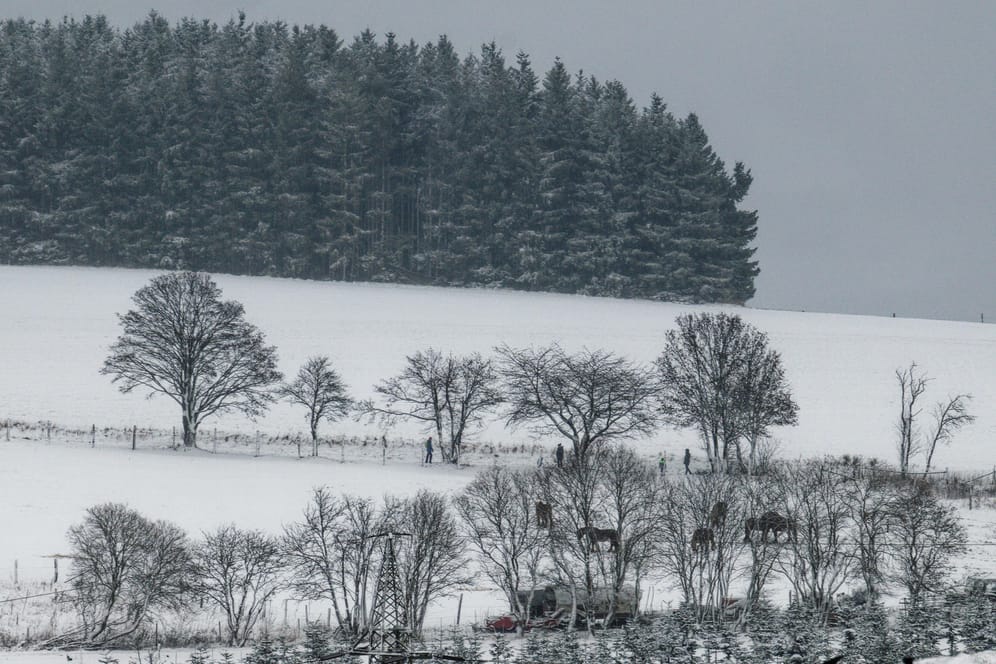 Winterberg in Nordrhein-Westfalen: In einigen Teilen Deutschlands ist der Winter angekommen.