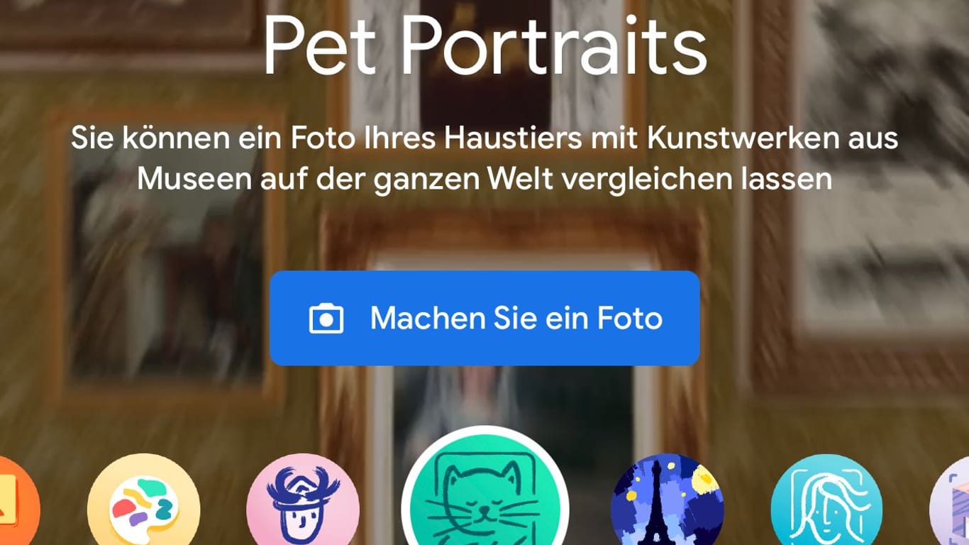 Die neue Pet Portraits-Funktion der Arts & Culture App von Google.