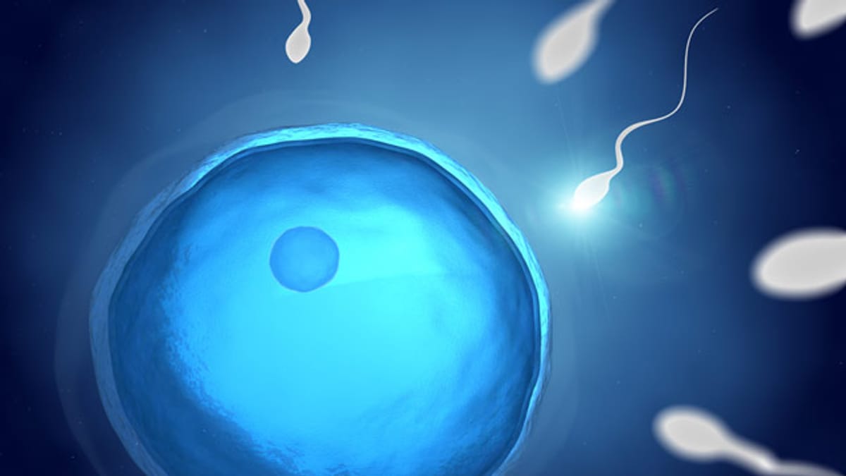 Krebs: Hochrisiko-Samenspender zeugt 200 Kinder