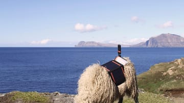 Weil Google Street View die abgeschiedenen Färöer Inseln im Nordatlantik meidet, übernehmen mit 360-Kamera und Solar-Panel ausgestattet Schafe die Arbeit.