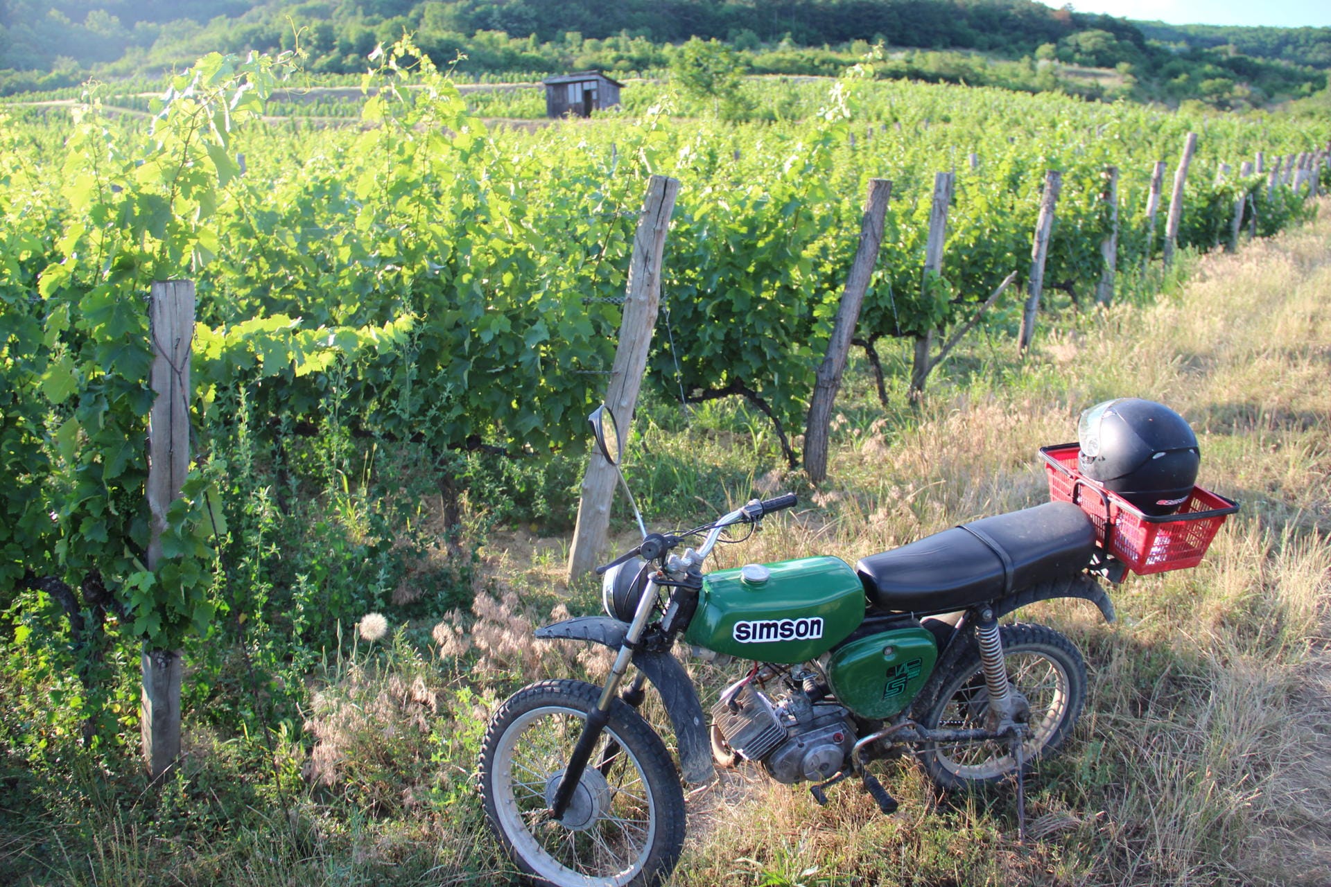 Das Weinanbaugebiet Tokaji ist von Budapest mit dem Auto (oder Motorrad) in knapp drei Stunden erreichbar.