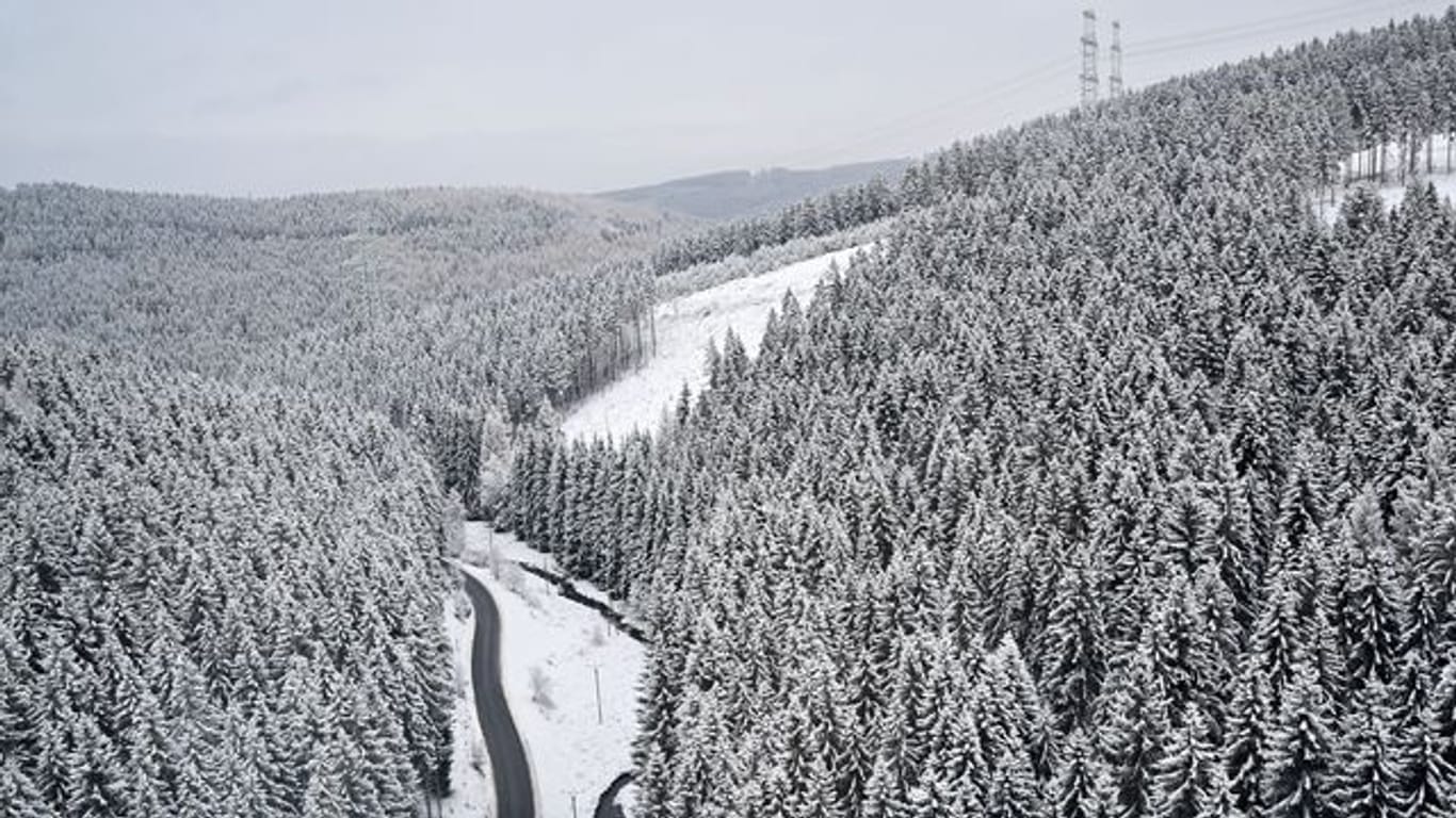 Winterwetter im Thüringer Wald