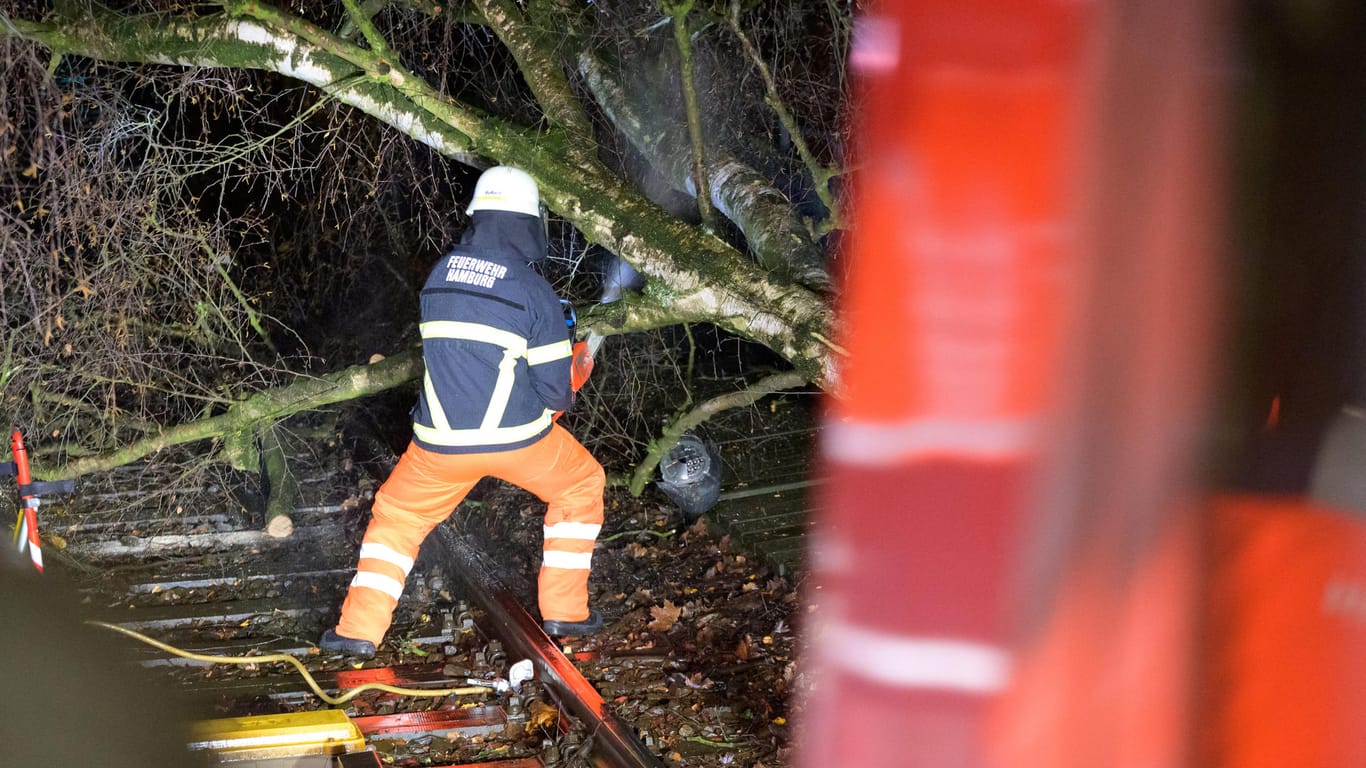 Ein Feuerwehrmann zersägt mit einer Motorsäge einen Baum in Hamburg: Die Feuerwehr musste bis zum Abend 36 Mal ausrücken.