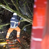 Ein Feuerwehrmann zersägt mit einer Motorsäge einen Baum in Hamburg: Die Feuerwehr musste bis zum Abend 36 Mal ausrücken.