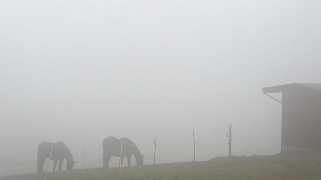 Regenwetter Regenwetter