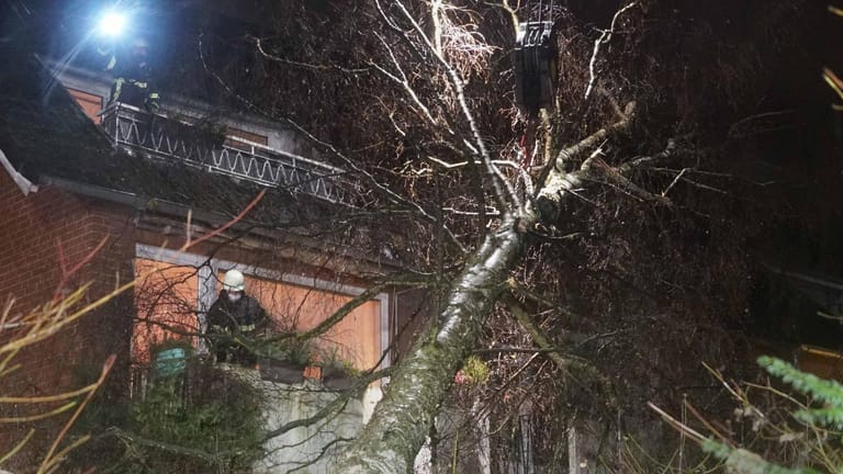 Feuewehrleute befestigen von Balkonen aus einen umgestürzten Baum am Haken eines Feuerwehrkranwagens in Hamburg. Der Baum war von Sturmtief Daniel auf ein Haus gekippt worden.