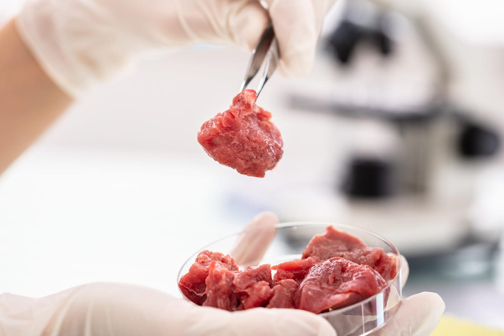 Untersuchung: Lebensmittelkontrolleure untersuchen zahlreiche Produkte, um Gesundheitsschäden bei Verbrauchern zu verhindern.
