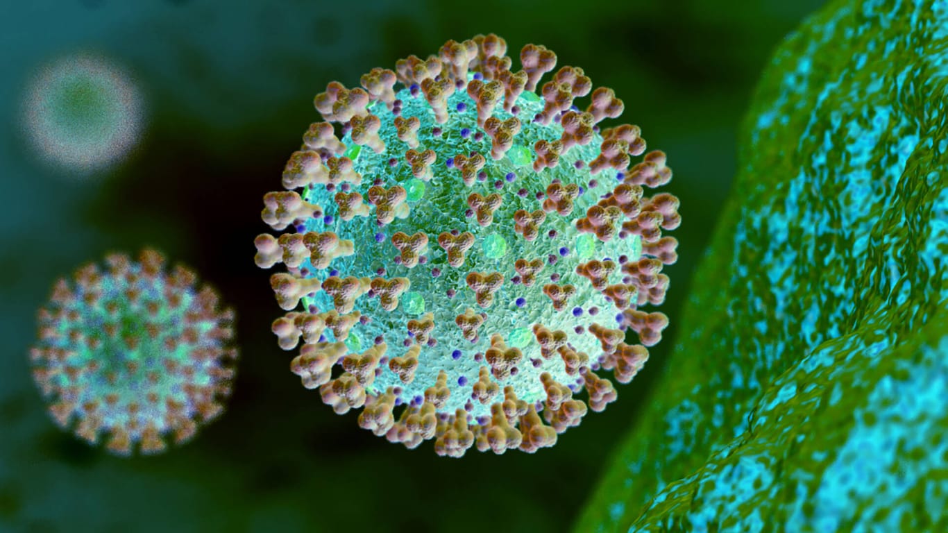 Mikroskopische Ansicht des Coronavirus: Die neue Omikron-Variante von SARS-CoV-2 wird als sehr gefährlich eingeschätzt.
