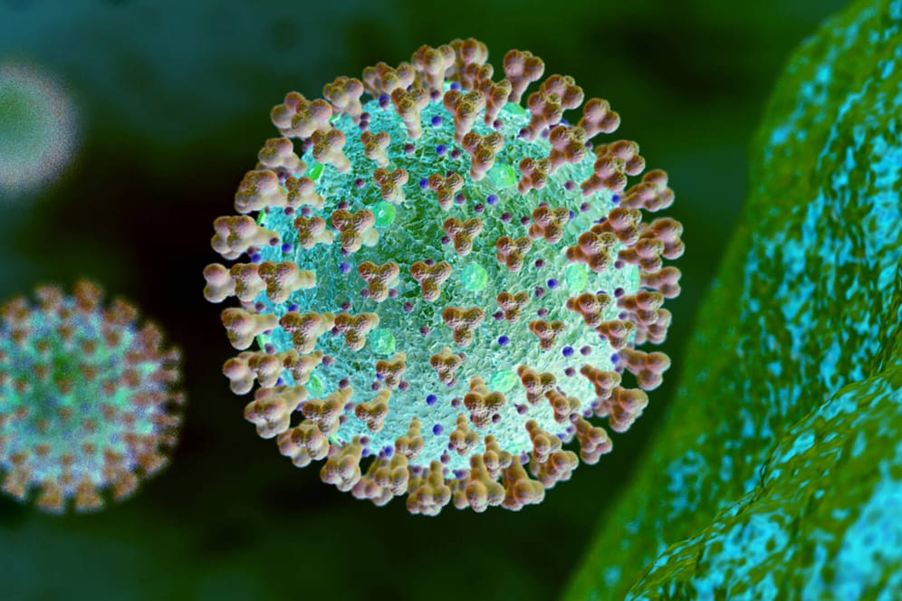 Mikroskopische Ansicht des Coronavirus: Die neue Omikron-Variante von SARS-CoV-2 wird als sehr gefährlich eingeschätzt.