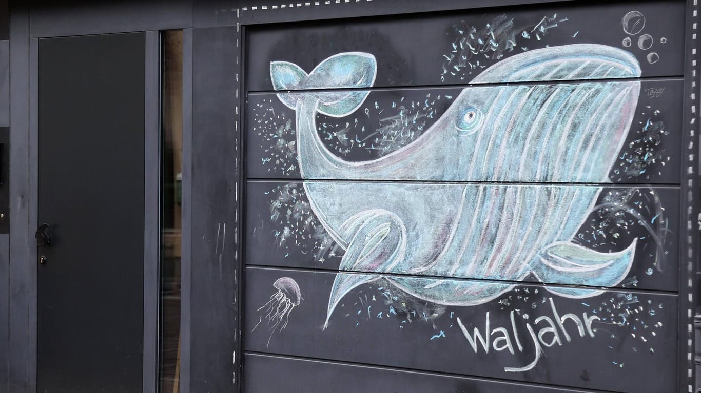 Ein Bild eines Blauwals in Straßenkreide (Symbolbild): Auch Deutschland ist Mitglied in der Internationalen Walfangkommission. Es zählt zu den Walschutzländern, die sich dafür einsetzen, dass der Walfang weiter begrenzt wird.