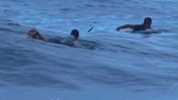 Freund filmt Surfer – plötzlich entdeckt er große Gefahr