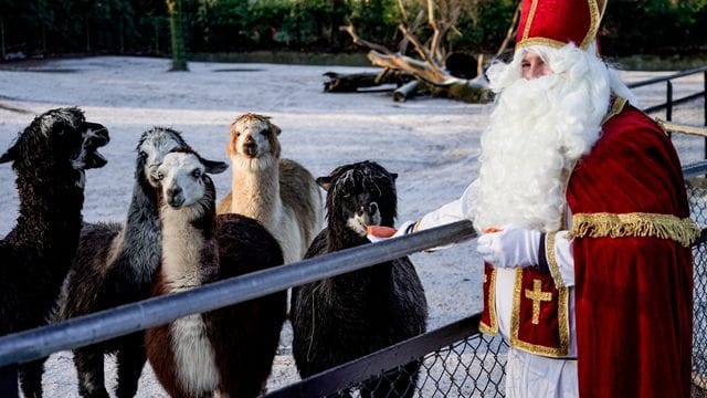 Nikolaus besucht den Tierpark Hagenbeck Nikolaus besucht den Tierpark Hagenbeck
