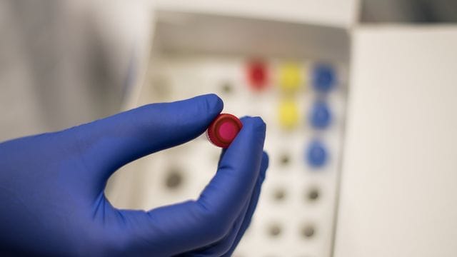 Biologietechnologie-Zentrum Mainz Biologietechnologie-Zentrum Mainz
