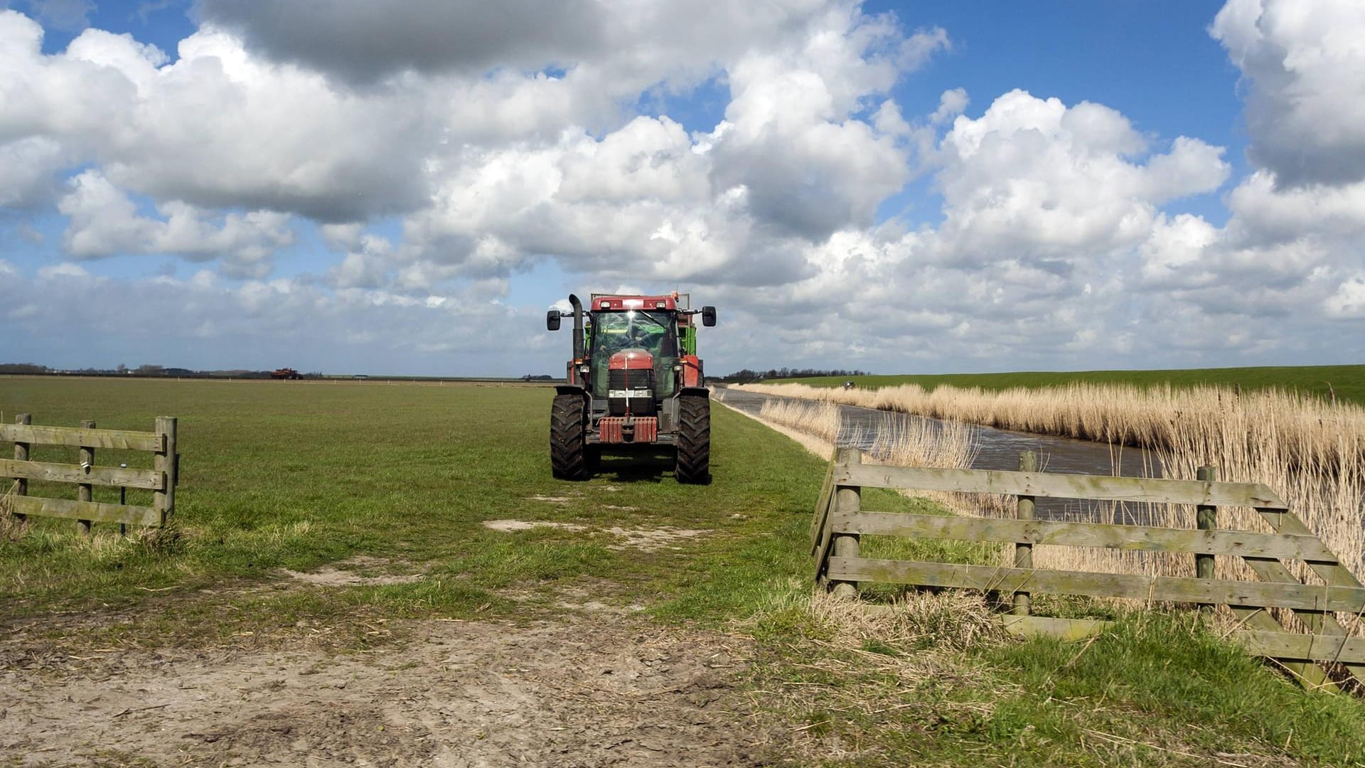 Traktor am Wassergraben (Symbolbild): Bei einer Rettungsaktion starb ein Mann in den Niederlanden. Traktor am Wassergraben (Symbolbild): Bei einer Rettungsaktion starb ein Mann in den Niederlanden.