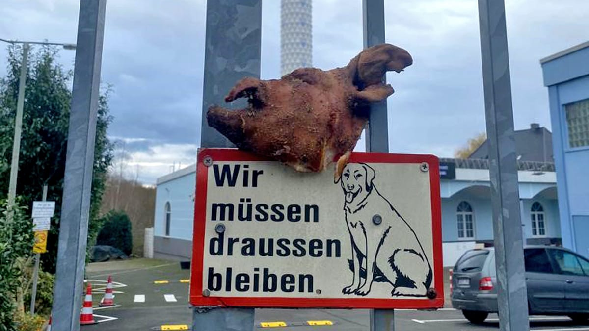 Der Schweinekopf am Tor vor der Moschee: Bilder einer Überwachungskamera sollen zeigen, wie der Unbekannte Selfies damit machte. Der Schweinekopf am Tor vor der Moschee: Bilder einer Überwachungskamera sollen zeigen, wie der Unbekannte Selfies damit machte.