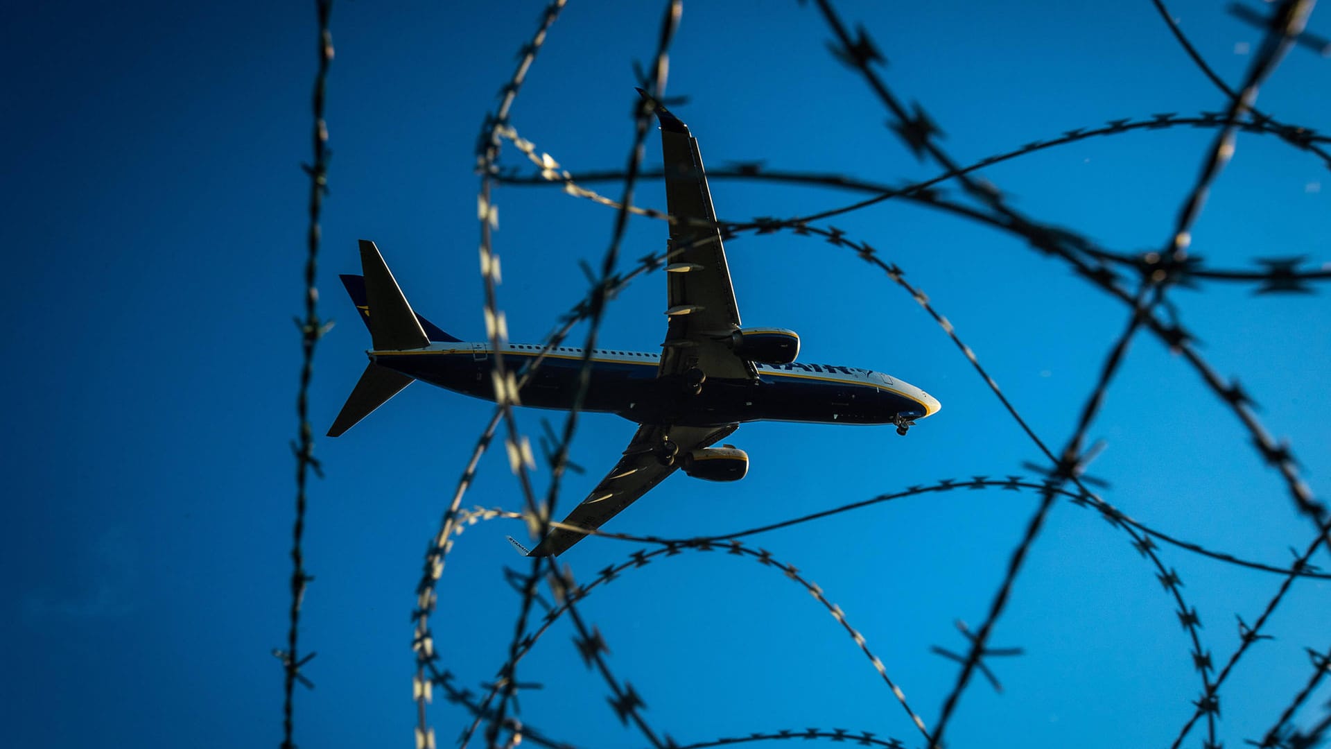 Ein Flugzeug im Landeanflug auf den Flughafen Berlin Brandenburg. (Symbolbild) 61 Ortskräfte sind mit ihren Familien in Berlin.