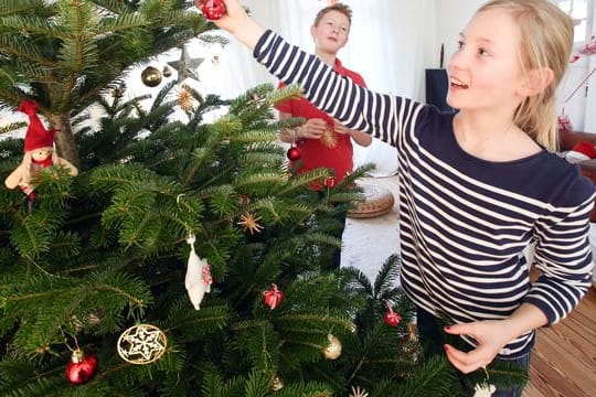 Weihnachtsbaum: Wer ihn mit Kerzen und schweren Kugeln schmücken will, wählt am besten die entsprechende Baumsorte.