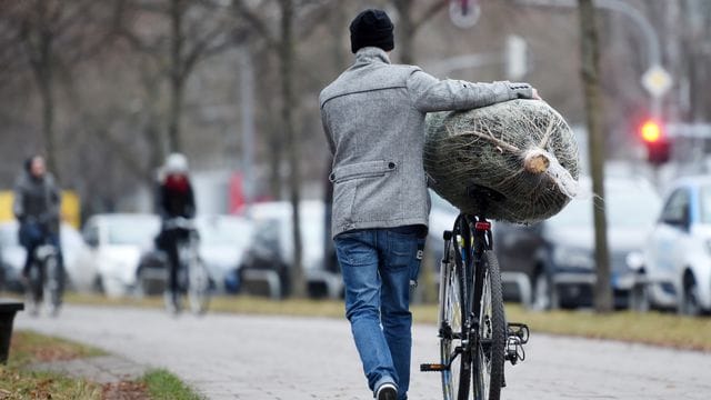 Wer sein Bäumchen liebt, der schiebt - und fällt damit auch nicht so schnell auf die Nase.